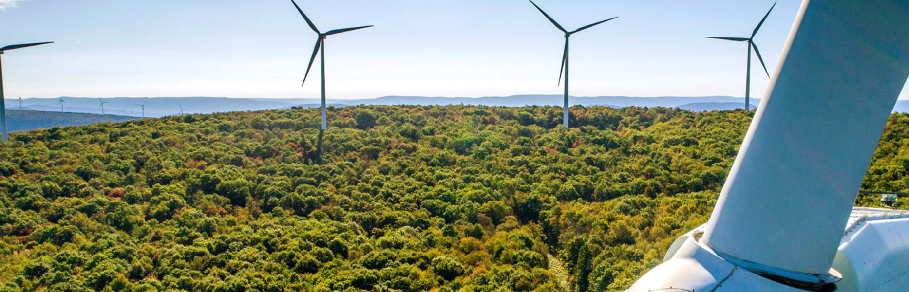 hero-renewable-windmill-in-trees